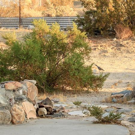 29 Hillside By Jtnp Visitor Center Villa Twentynine Palms Esterno foto