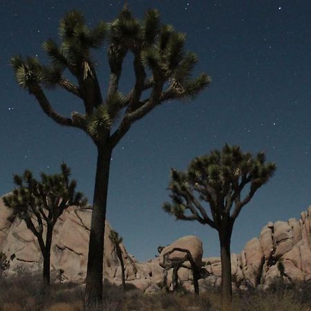 29 Hillside By Jtnp Visitor Center Villa Twentynine Palms Esterno foto